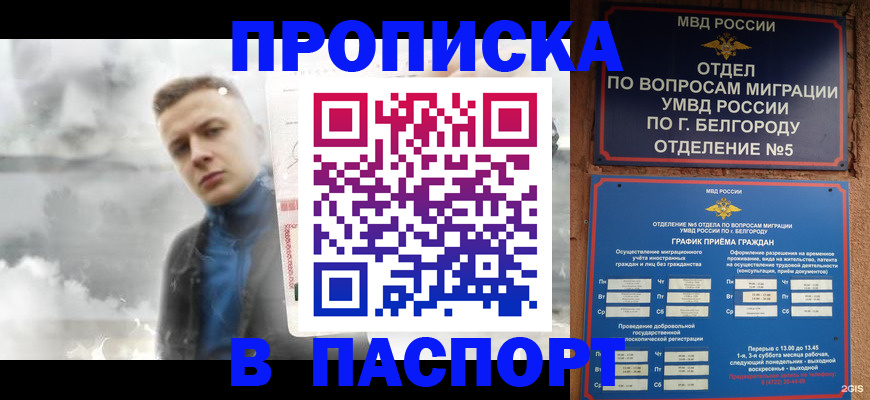 временная регистрация в Шагонаре